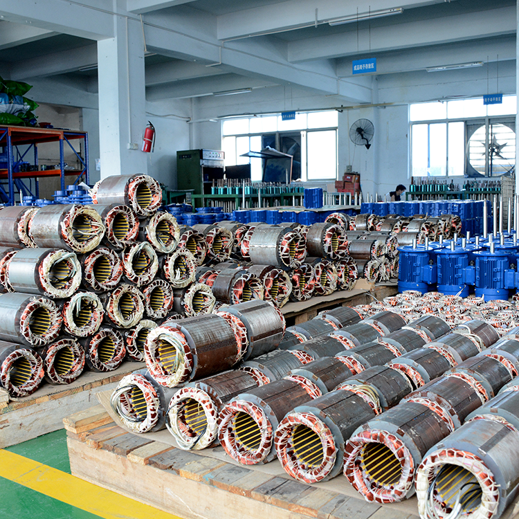 耐腐蝕泵電機(jī)